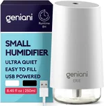 GENIANI Portable Cool Mist Humidifiers for Bedroom & Office - Ultrasonic Humidifier for Home, Baby, Small Room with Auto Shut Off, 250ML Easy to Clean Water Tank