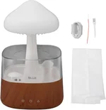 Rain Cloud Humidifier Night Light, Bedside Mushroom Rain Cloud Diffuser for Bedroom Office Moisturizing