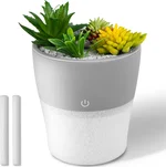 Portable Small Cool Mist Humidifiers 150ML - USB Desktop Humidifier, with 2 Mist Modes, Quiet Cute Artificial Succulent Vegetation Mini Humidifier, Waterless Auto Shut Off for Office, Car